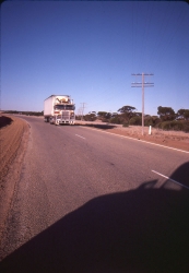 1986 O'FLATE National Art Safari